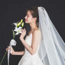 모하지스튜디오