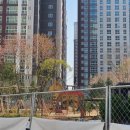 파라곤센트럴 501동 이미지