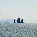 돌핀호 Daum카페