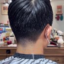 TURTLECOMB(터틀콤)