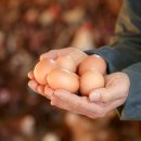 다움농장 이미지