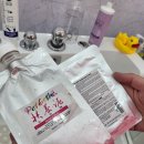 몽실 애견미용 이미지