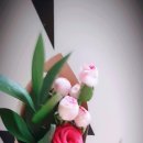 공차군산대점 | 2019.05.18~2019.05.19 일기 <군산 여행 ,별로 안 먹은줄 알았는데 겁나 많이 먹은 일상>