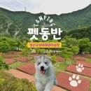 정선군생태체험학습장캠핑장 | 정선군생태체험학습장 펫동반 캠핑장 운영