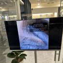 젠디 | 잠실탈모 정수리 걱정 많은 엄마와 함께 다녀온 젠디스튜디오 편안했던 상담 후기
