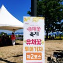 구리둘레길(3코스) | 구리한강시민공원 유채꽃 축제 / 구리 둘레길 4코스 한강 코스모스 길 걷기 좋은 길