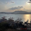 용당포구 | 부산 신선대 전망, 바다와 항구가 한눈에 펼쳐지는 힐링 명소