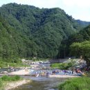 반딧불이 생태학교 이미지