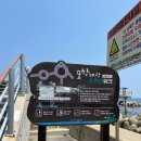 포항 해상스카이워크 | 포항가볼만한곳 바다뷰보며 산책하기 좋은 포항 해상스카이워크