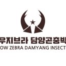 순천곤충박물관 이미지