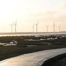 소로3-가오16 | 가오메이 습지 버스투어 타이중 출발 일몰 시간 가는방법 고미습지