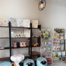 멍청하개 이미지