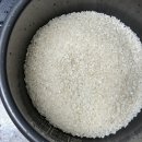 원주시농협쌀조합공동사업법인 | 오덕쌀삼광미 원주농협 당일도정 직발송 맛있는 햅쌀 추천