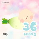 [36~37주 임산부 일상] Chill산모 되기는 어려워😣 / 환도선다, 우울감, 배뭉침, 밑빠짐 통증