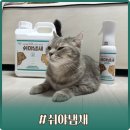 고양이냄새제거탈취제 고양이화장실냄새제거 제품 쉬야냄새 사용 후기