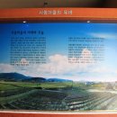 사등마을 이미지