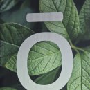 코리아세븐 영주행복점 | 향기와 나눔이 가득했던 "2025년 도테라 코리아 컨벤션" 후기