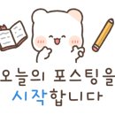 애나영