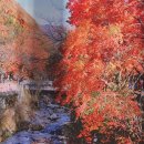 소요산제일식당 이미지