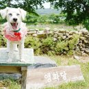 앵화당