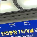 엘와이피 | 올해만 세번째 치앙마이