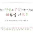애드캡 이미지