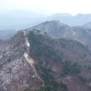 곡성청과 이미지