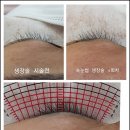 해라뷰티 이미지