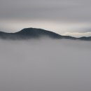 대구일보 문향만리 / 강해림「구름 寺院」 / 김동원 시인·평론가 이미지