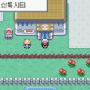 상록체육관 이미지