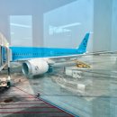 2101 | 일본 도쿄 출장 | 대한항공 김포-하네다 후기&amp;마일리지(KE2101&amp;KE2104)