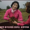 송정아뷰티