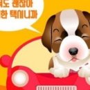 안산펫택시 이미지