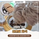 펫플 | 강아지화식추천 영양과 신선함을 다 잡은 아르밀 화식사료 급여 후기