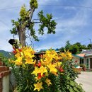 지리산 휴가 민박 이미지