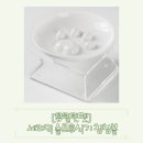 유일앤펫