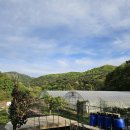 조계환농장 이미지