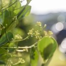 구미 시민교회 이미지