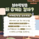웰 동물병원 이미지