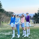 곤지암스타세차장 | 로제비앙GC 곤지암 야간 라운딩 후기 봄밤 골프장 추천 + 4월 이벤트 총정리