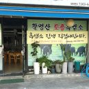 팔영산토종흑염소
