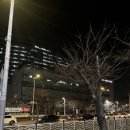 애플돈까스 | 해운대백병원 근처 밥집 애플돈까스 N번째 후기