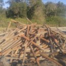 부신농장 이미지