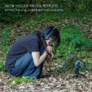 제주 그리고 이미지