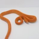 렙타일코리아 이미지