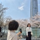 마이리틀벌스데이 | 잠실 석촌호수 벚꽃 실시간 후기 + 마이리틀벌스데이 카페까지 다녀왔어요