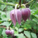 제일온천 이미지