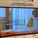 영도씨삼겹살 이미지