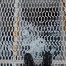 당사해양낚시공원 이미지