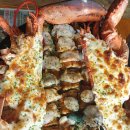 등나무가든 이미지